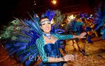 Carnaval de Les Roquetes del Garraf 2016